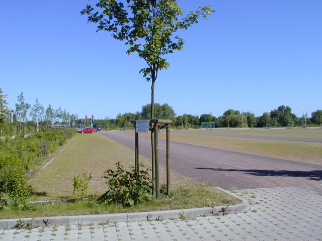 Parkplatz Lange Lake